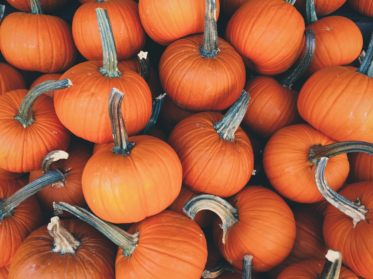 A colorful gathering of autumn pumpkins