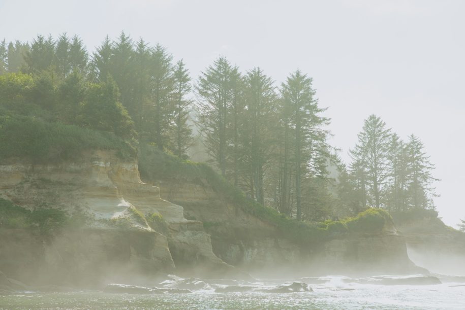 Misty evergreen cliffs and ocean waves on the Oregon coast